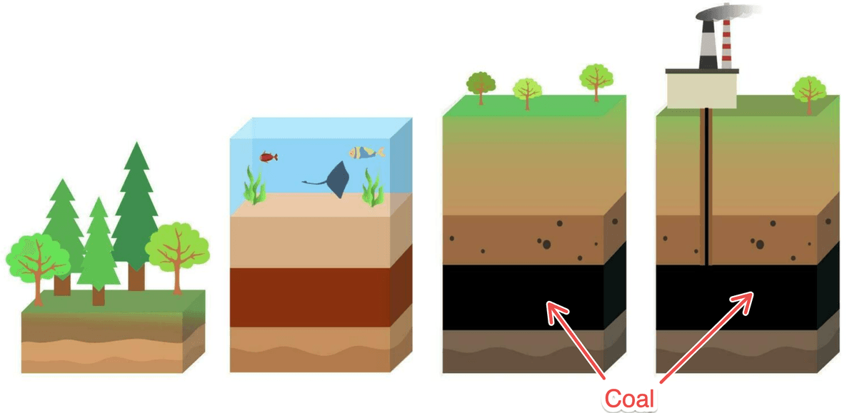 Coal