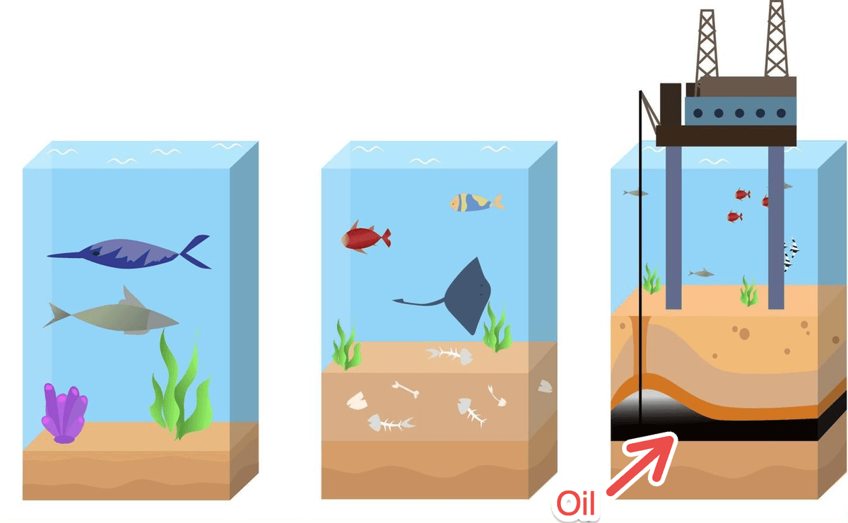 Oil